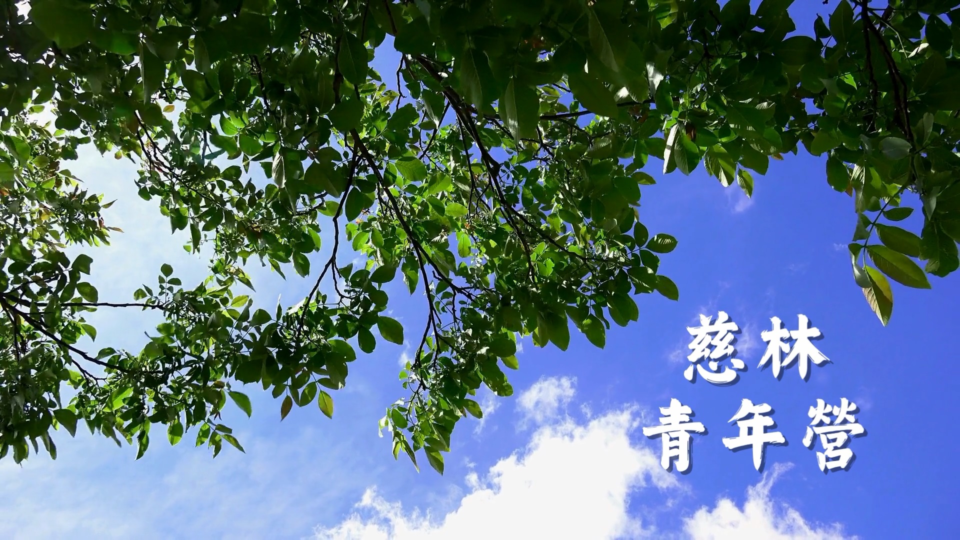 2024 慈林青年營